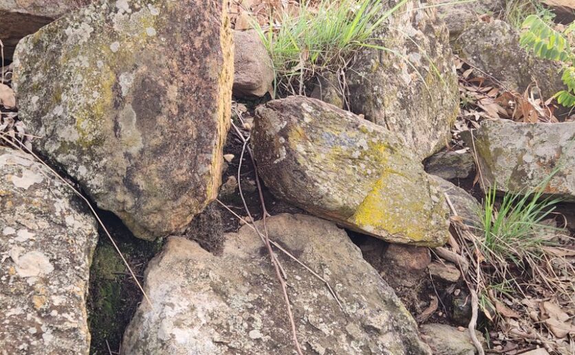 quarry for sale in Bugesera Plut Properties (7)