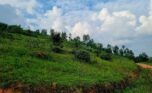 4 Big plots for sale in Muyange plut properties (1)