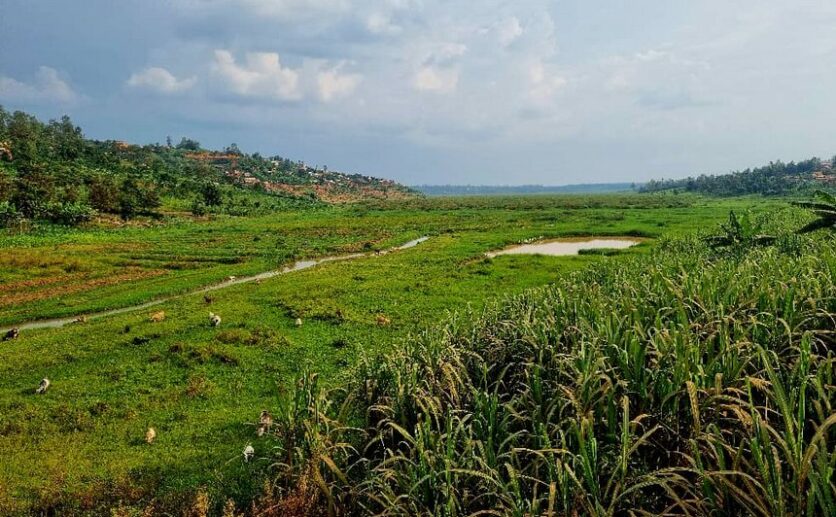 4 Big plots for sale in Muyange plut properties (10)