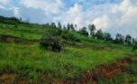 4 Big plots for sale in Muyange plut properties (12)