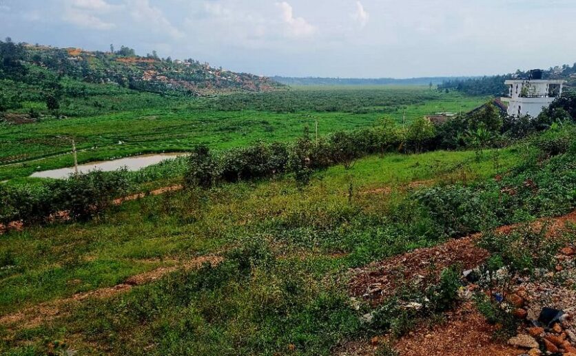 4 Big plots for sale in Muyange plut properties (13)