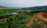 4 Big plots for sale in Muyange plut properties (14)