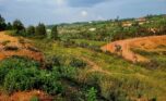 4 Big plots for sale in Muyange plut properties (3)