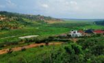 4 Big plots for sale in Muyange plut properties (5)