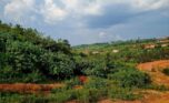 4 Big plots for sale in Muyange plut properties (6)