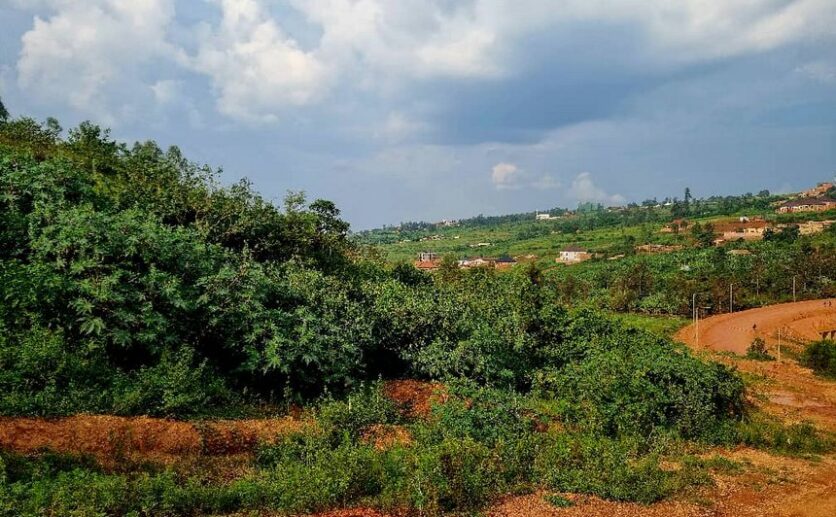 4 Big plots for sale in Muyange plut properties (6)