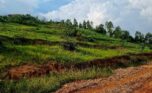 4 Big plots for sale in Muyange plut properties (7)