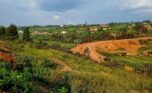 4 Big plots for sale in Muyange plut properties (8)