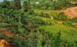 4 Big plots for sale in Muyange plut properties (9)