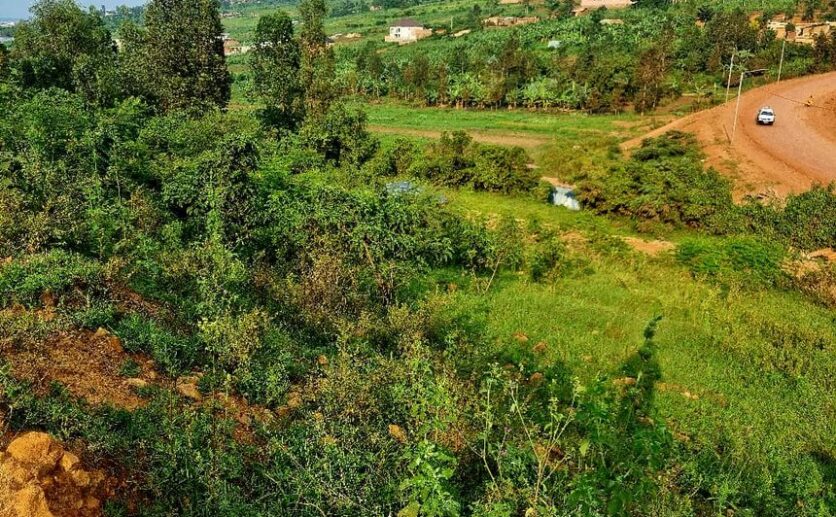 4 Big plots for sale in Muyange plut properties (9)