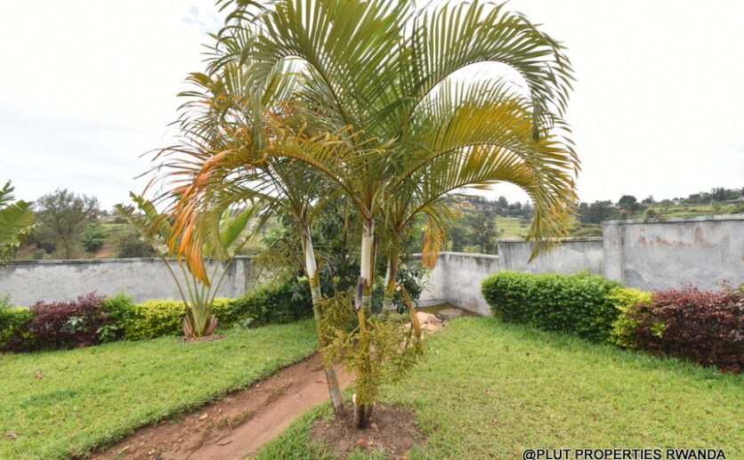 Kigali Kacyiru plot for sale plut properties (7)