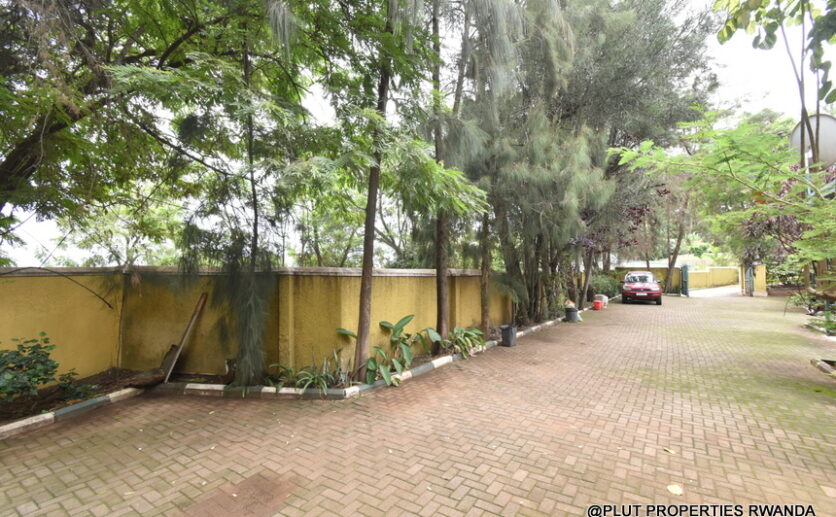 Houses for rent in Kiyovu plut prperties (6)