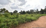 plot for sale in Kigali Kinyinya plut properties (1)