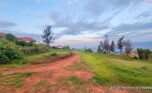 prime land for sale in Kabuye karuruma plut properties (5)