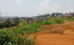Big plot for sale in Busanza plut properties (2)