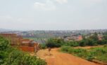 Big plot for sale in Busanza plut properties (4)