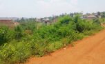 Big plot for sale in Busanza plut properties (5)