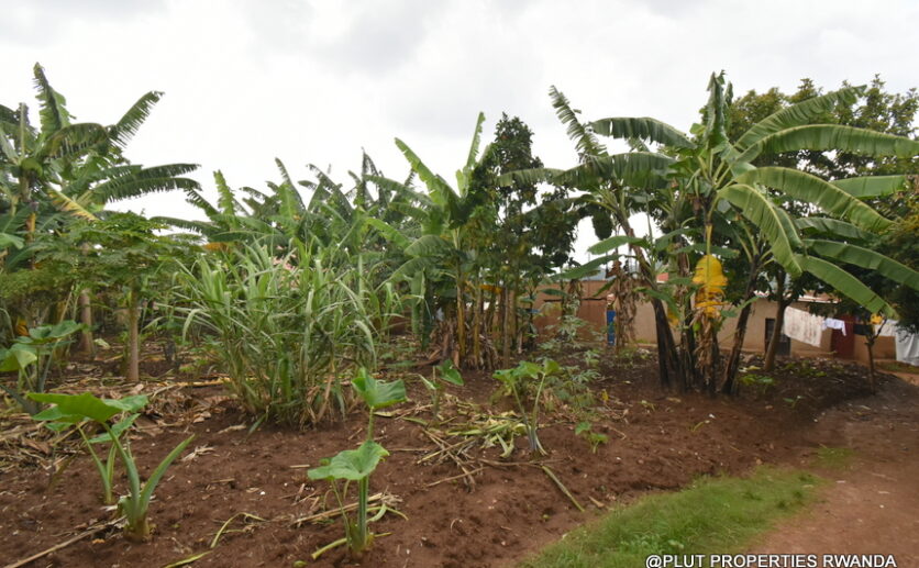 Big plot for sale in Kinyinya Kigali plut properties (2)