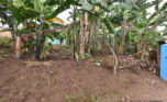 Big plot for sale in Kinyinya Kigali plut properties (3)