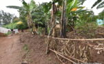 Big plot for sale in Kinyinya Kigali plut properties (4)