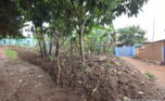 Big plot for sale in Kinyinya Kigali plut properties (5)