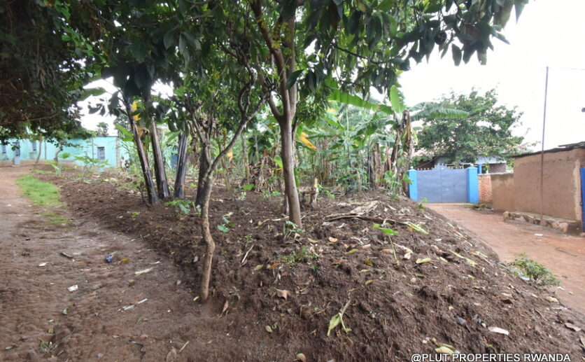 Big plot for sale in Kinyinya Kigali plut properties (5)