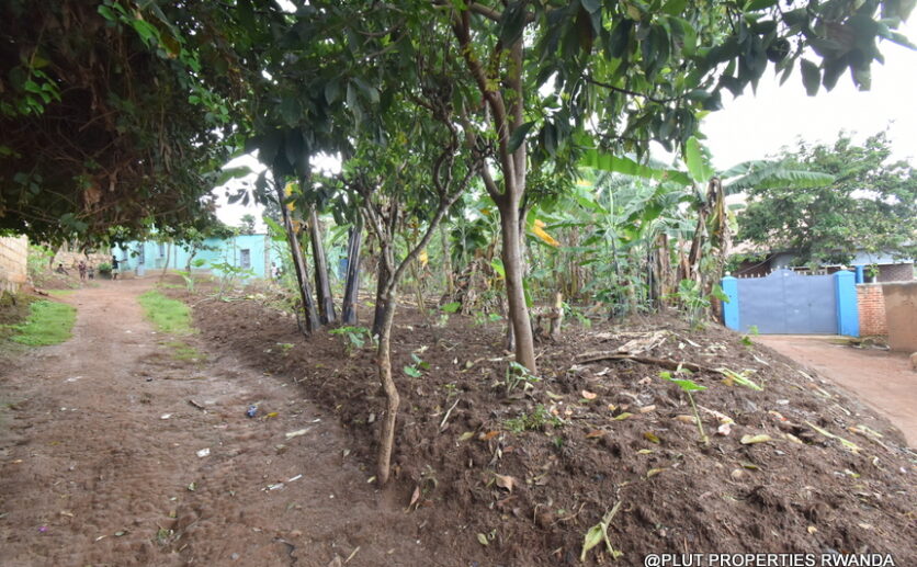 Big plot for sale in Kinyinya Kigali plut properties (6)