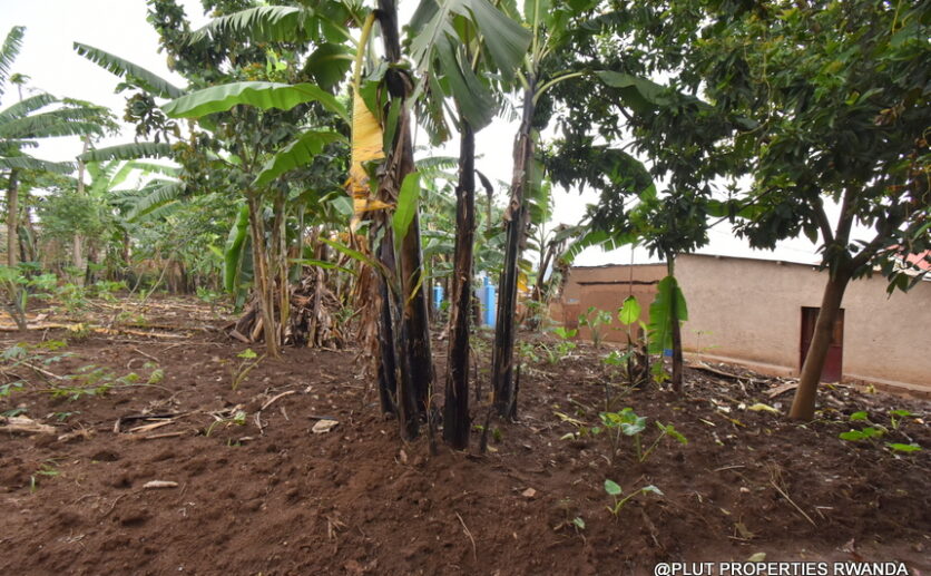 Big plot for sale in Kinyinya Kigali plut properties (7)