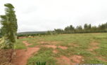 prime plot for sale in Bugesera plut properties (1)