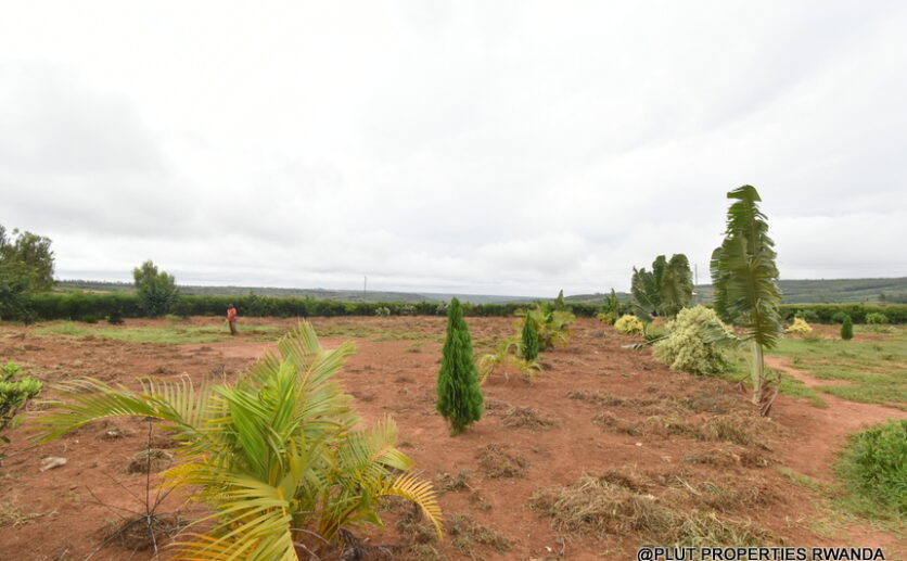 prime plot for sale in Bugesera plut properties (10)