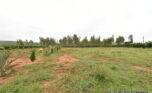 prime plot for sale in Bugesera plut properties (3)