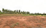 prime plot for sale in Bugesera plut properties (4)