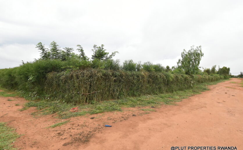 prime plot for sale in Bugesera plut properties (6)