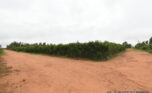 prime plot for sale in Bugesera plut properties (7)