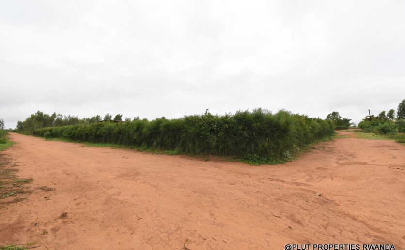 prime plot for sale in Bugesera plut properties (7)