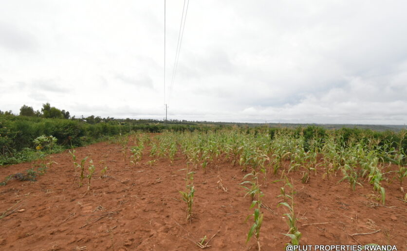 prime plot for sale in Bugesera plut properties (8)