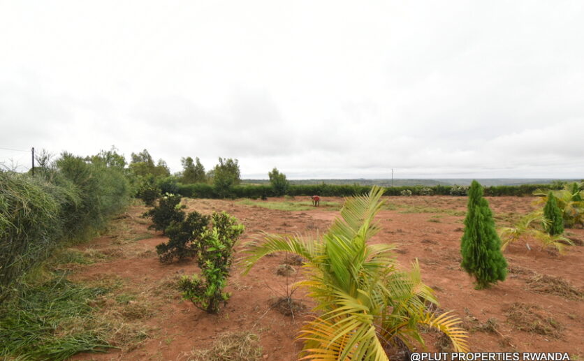 prime plot for sale in Bugesera plut properties (9)
