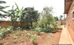 prime plot for sale plut properties (4)