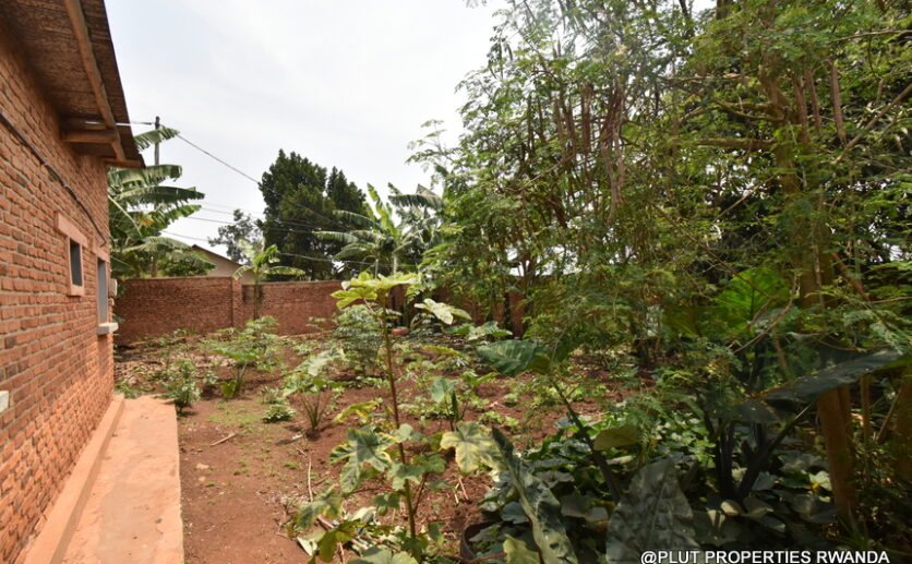 prime plot for sale plut properties (9)