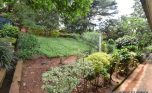 House for rent in Kiyovu plut propeeties (11)
