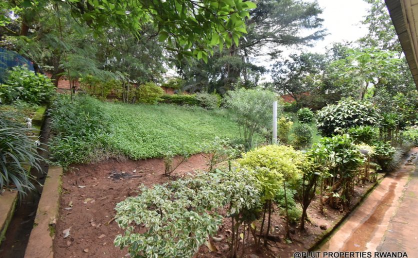 House for rent in Kiyovu plut propeeties (11)