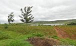 Lake muhazi land for sale plut properties (1)