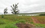 Lake muhazi land for sale plut properties (11)