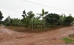 Land for sale in Busanza Kanombe plut properties (3)