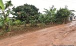 Land for sale in Busanza Kanombe plut properties (4)