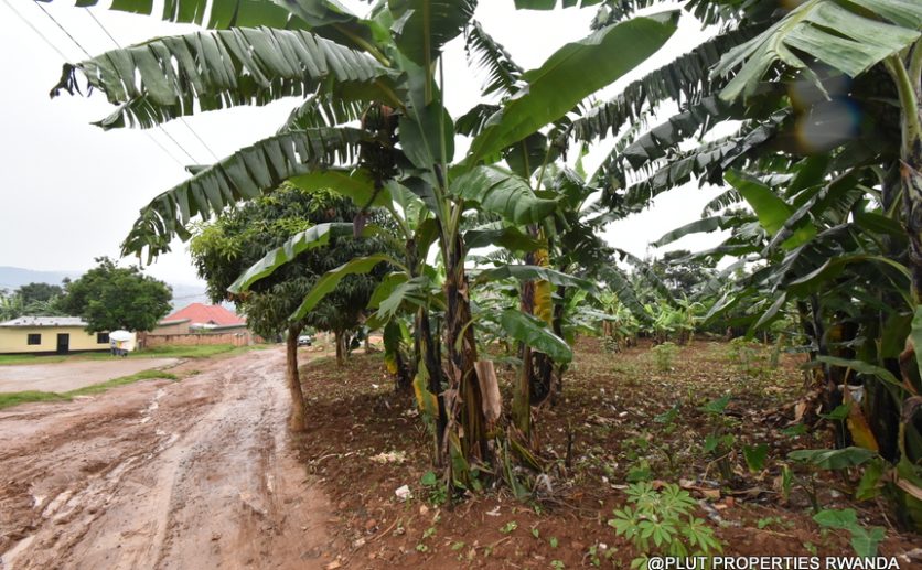 Land for sale in Busanza Kanombe plut properties (7)