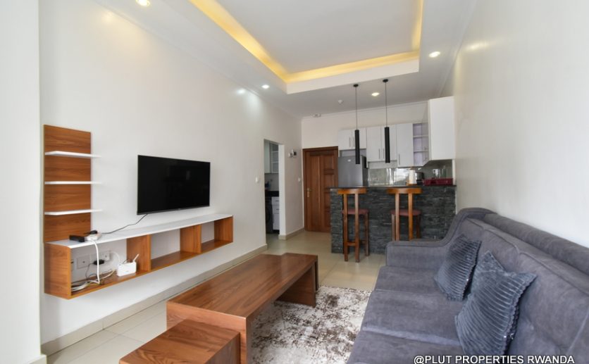 Rent in Gacuriro Kigali Plut properties (9)