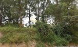 Big plot for sale in Nyarutarama plut properties (5)