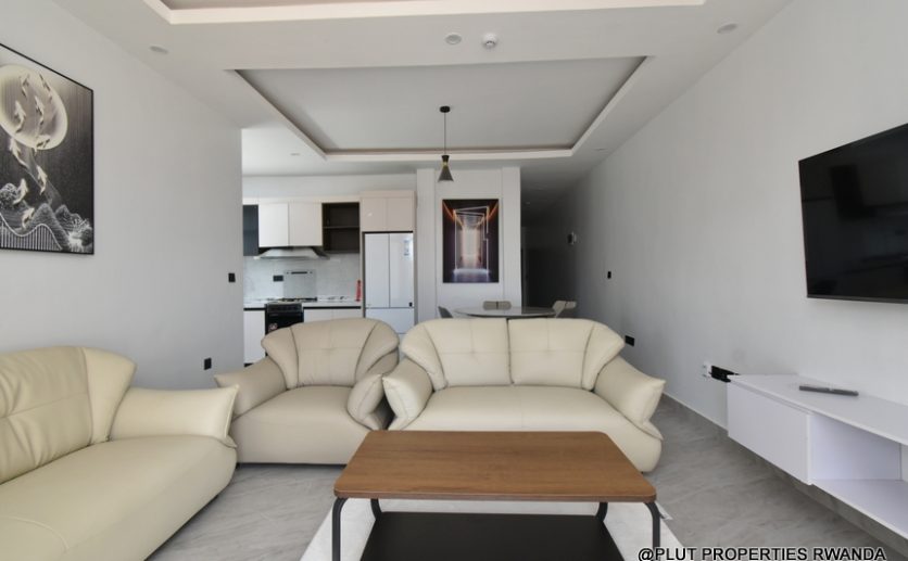 apartment for rent in Gisozi plut properties (13)