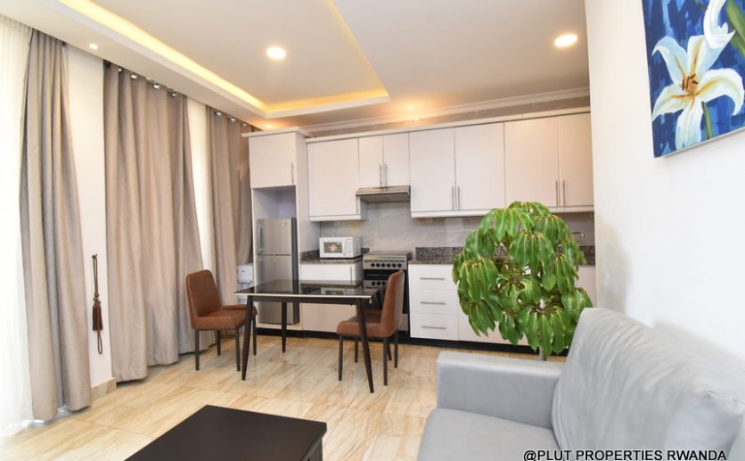 1 bedroom in Nyamirambo for rent plut properties (12)